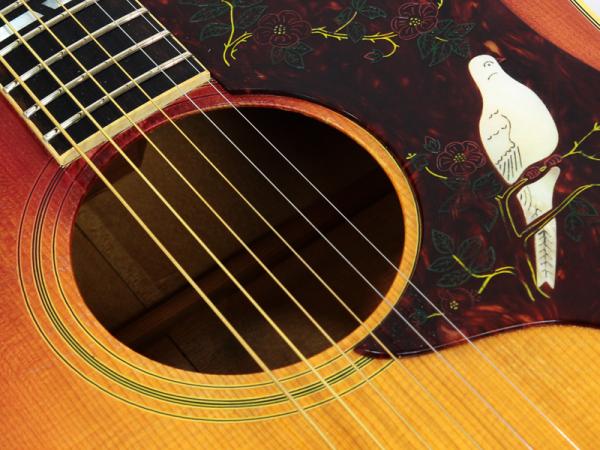 Gibson ギブソン DOVE *1976 | ワタナベ楽器店 京都本店