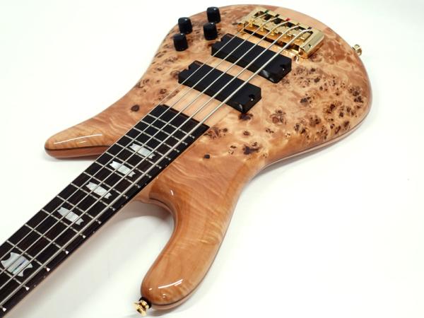 SPECTOR EURO 5 LX Poplar Burl Natural Gloss 【ヨーロッパ製