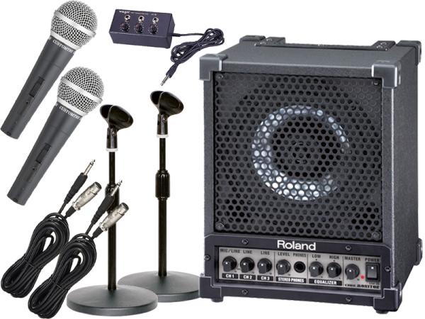 Roland ( ローランド ) CM-30 有線卓上マイク2本セット【簡易PAセット】☆送料無料!