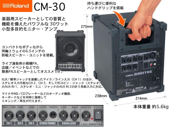 Roland ローランド CM-30 CUBE MONITOR ◇ 【簡易PAセット