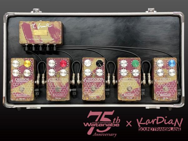 KarDiaN ( カージアン ) Special Pedalboard Set " Kyomurasaki Ver. " Watanabe 75th