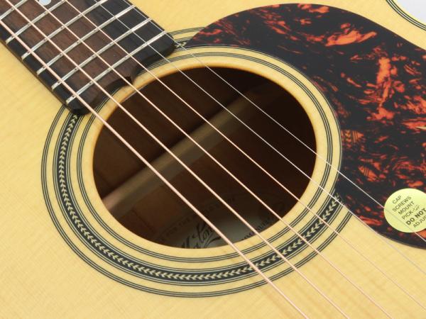 Maton Guitars メイトンギターズ EBG808TE Tommy Emmanuel