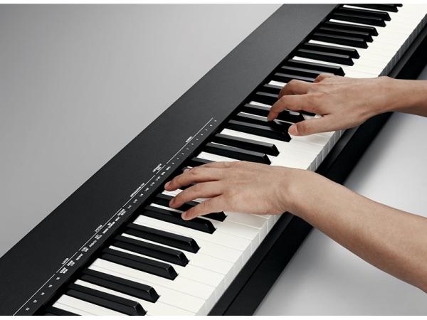 【MIDIキーボード】ROLAND ( ローランド ) / A-88 みみ様 Roland A-88MkII MIDI Keyboard Controller | Full Compass Systems