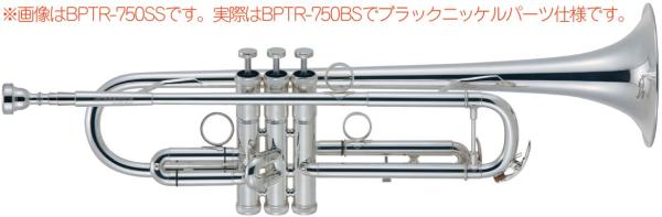 Brasspire Unicorn ブラスパイア ユニコーン BPTR-750BS 新品