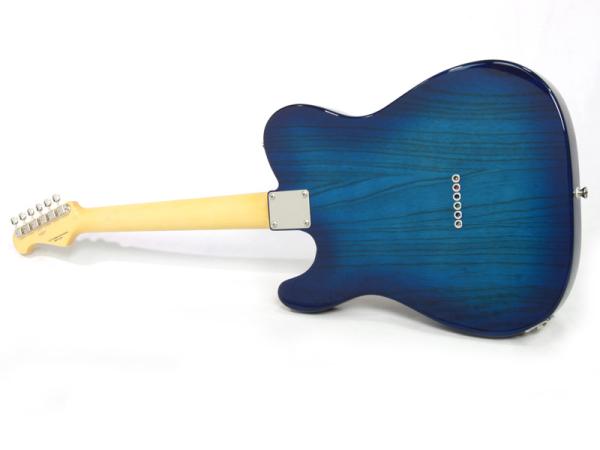 FgN フジゲン NTE10MAH SBB 国産 エレキギター Fujigen 送料無料