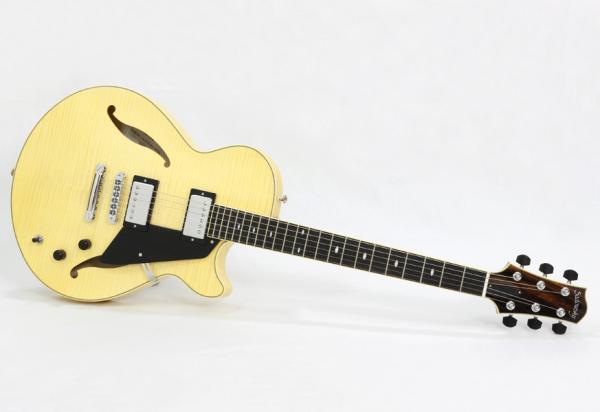 Sadowsky Semi Hollow Model / Vintage Amber | ワタナベ楽器店 京都本店