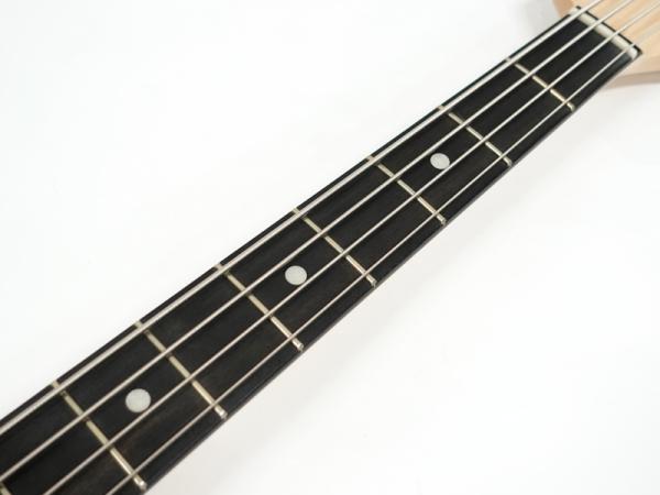G&L SB2 USA ハードケース G&L SB2 USA ハードケース