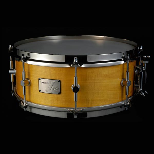Canopus カノウプス SSSM-1465SH
