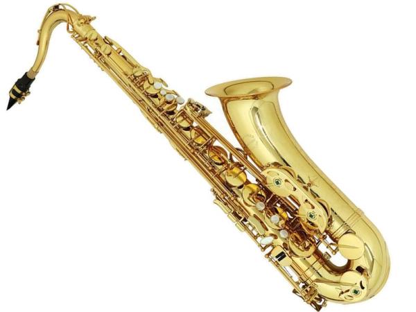 Chateau ( シャトー ) CTS-A70GL テナーサックス ラッカー イエローブラス α STANDARD SERIES Tenor Saxophone gold　北海道 沖縄 離島不可