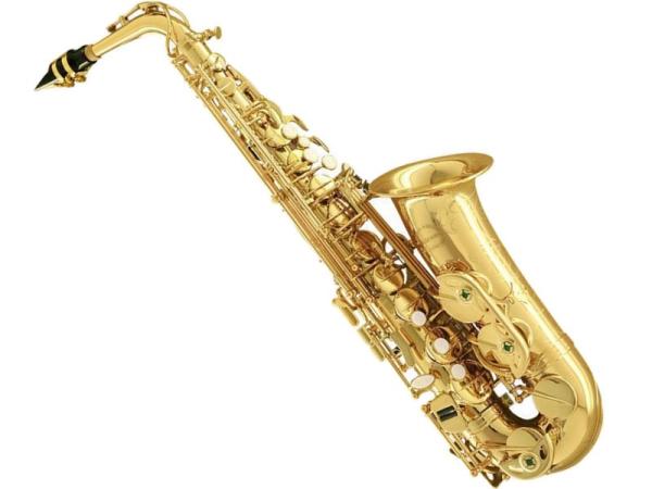 Chateau ( シャトー ) CAS-A70GL アルトサックス ラッカー イエローブラス α STANDARD SERIES Alto Saxophone gold　北海道 沖縄 離島不可