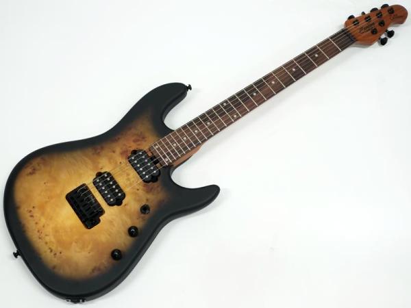 Sterling by Musicman Richardson6  Natural Poplar Burl Burst アウトレット ジェイソン・リチャードソンシグネイチャー 