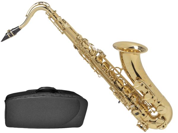 Henri Selmer Paris ( セルマー ) Axos アクソス テナーサックス ゴールドラッカー B♭ tenor saxophone gold 管楽器 本体　北海道 沖縄 離島不可