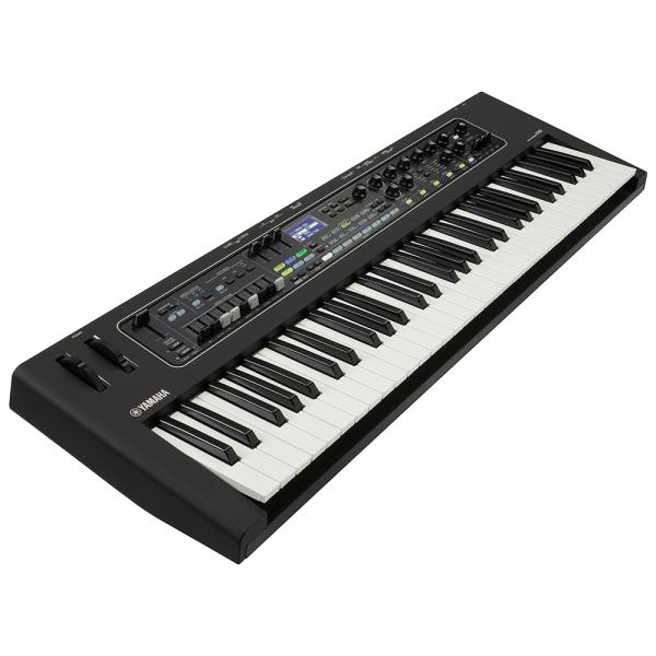 レビュー高評価商品 YAMAHA ステージキーボード 純正ケースセット CK61 ヤマハ 鍵盤楽器