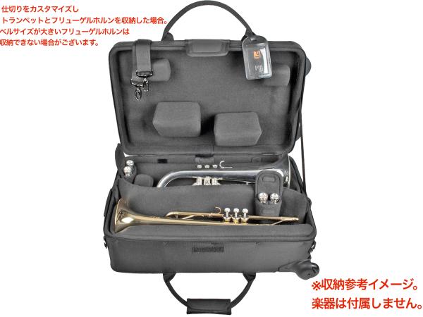 PROTEC ( プロテック ) IP301T トランペット トリプルケース