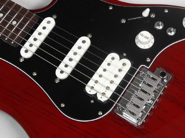 ギター FUJIGEN(FGN)Expert EOS-ASH-R/DR/06 Amazon | FUJIGEN EOS-ASH-R/06 DR エレキギター フジゲン
