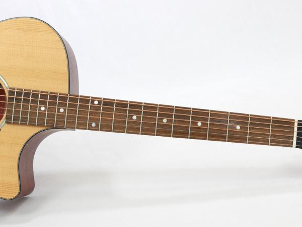 EASTMAN イーストマン PCH1-GACE アコースティックギター