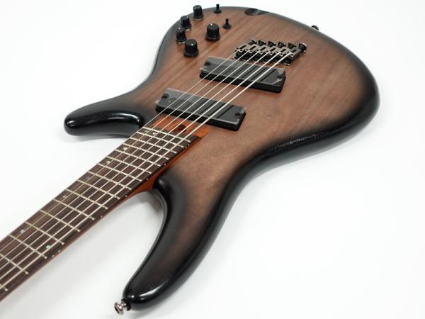 Ibanez アイバニーズ BASS WORKSHOP SRC6MS-BLL マルチスケール6