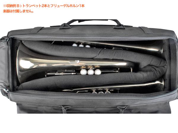 PROTEC プロテック C248 B♭ トランペット トリプルケース