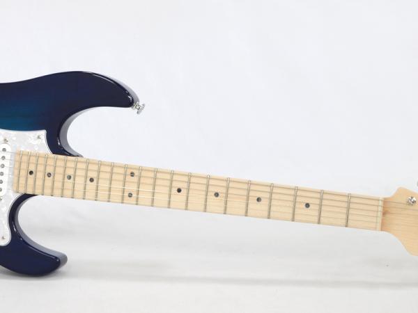 フジゲン　eos SSH 状態良いです　日本製 FgN フジゲン EOS-FM-R/VV 20%OFF! | ワタナベ楽器店 京都本店