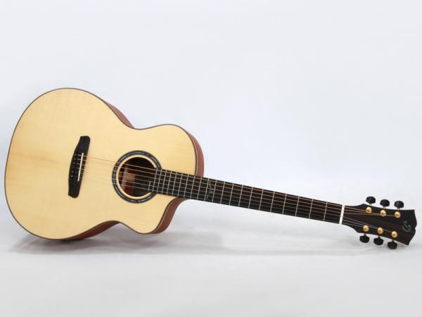 Dowina MER-GAC-ds ドウィナ アコースティックギター