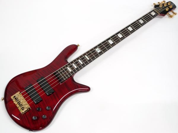 SPECTOR EURO 5 LX / Black Cherry Gloss