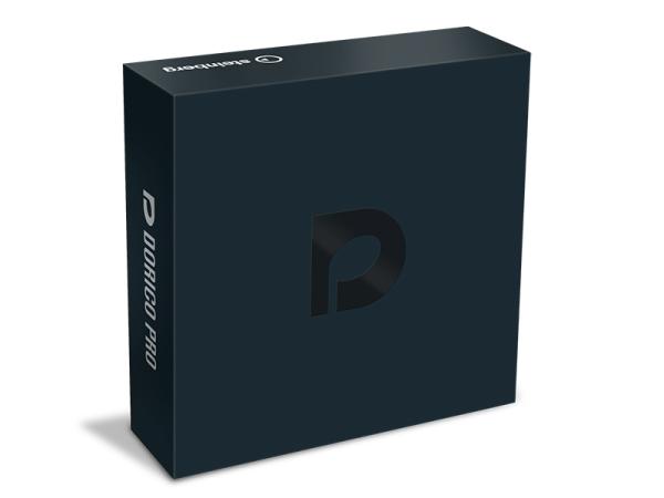 Steinberg スタインバーグ DORICO PRO 通常版【DORICO PRO/R】