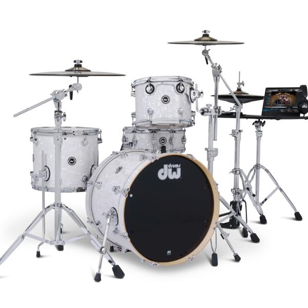 エネイブル　タミヨウ foil2枚セット E-II EC BM (Blue Natural Fade) 【受注生産品】 ｜イケベ楽器店