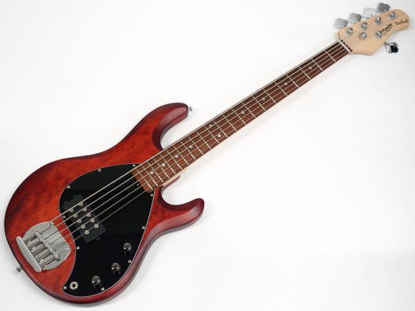 Sterling by Musicman S.U.B RAY5 / Walnut Satin < Used / 中古