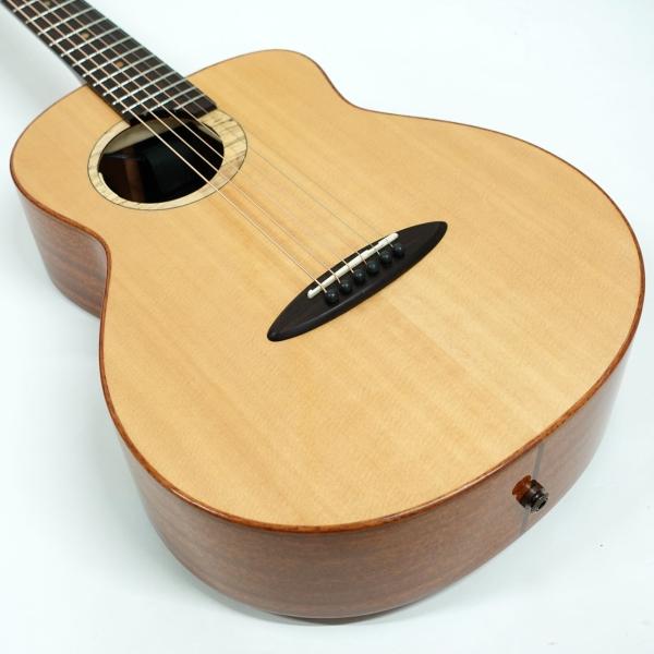 aNueNue aNN-M100 w/Anthem SL < Used / 中古品 > | ワタナベ