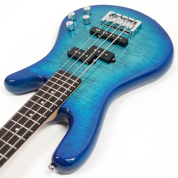 SPECTOR Legend 4 Standard / Blue Stain Gloss | ワタナベ楽器