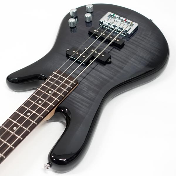 Spector Legend 4 standard スペクター　レジェンド4 Legend 4 Standard by Spector Bass Guitars