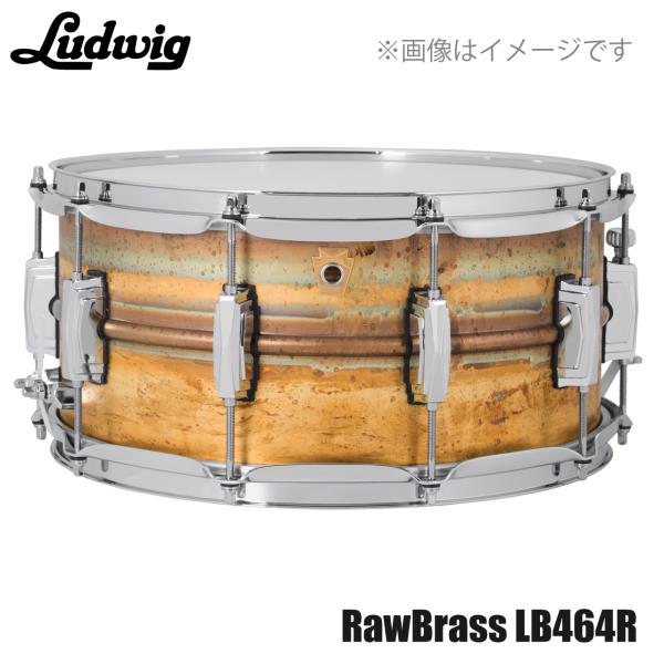 LUDWIG ラディック LB464R [ Raw Brass Phonic 14"×6.5" ]