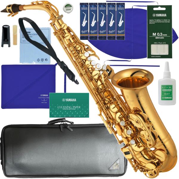 YAMAHA ヤマハ 5年保証サポート対象 YAS-875EX アルトサックス カスタム ラッカー ゴールド Custam EX セットM　以下対応不可 北海道 沖縄 離島 代引き