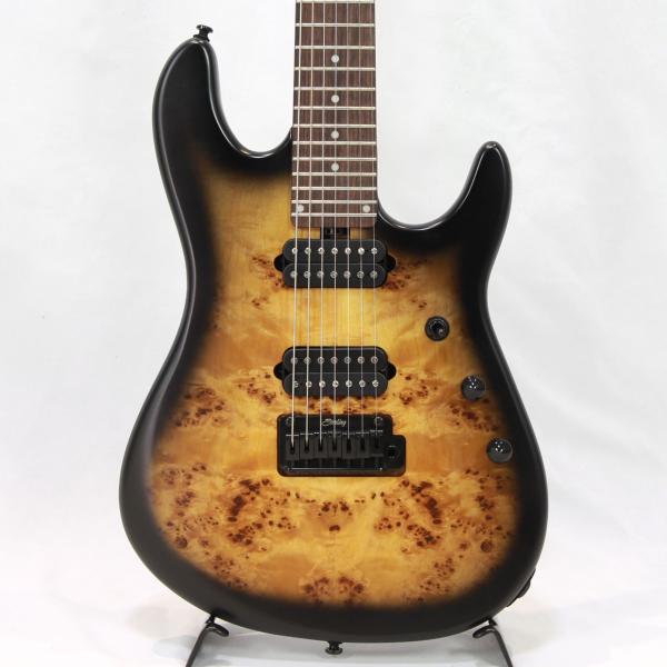 Sterling by Musicman Richardson7 / Natural Poplar Burl Burst