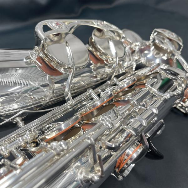 Soulezza Standard | ギタープラネット | 御茶ノ水 楽器の専門店
