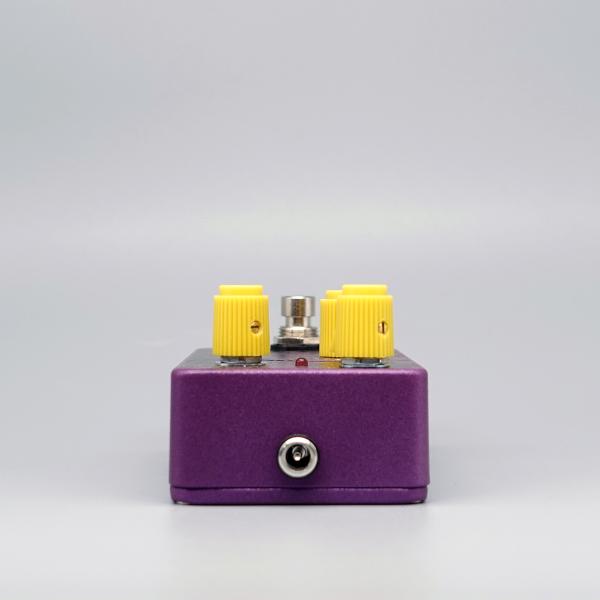 Old Blood Noise Endeavors BL-44 Reverse / Variable Clock Reverser