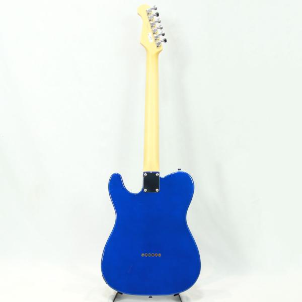 FgN フジゲン BCTE100RBD MBL Metarric Blue 国産 エレキギター