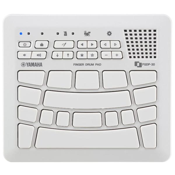 YAMAHA ヤマハ FGDP-30