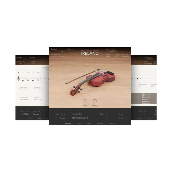 Native Instruments ネイティブインストゥルメンツ Ireland 音源 プラグイン DTM DAW