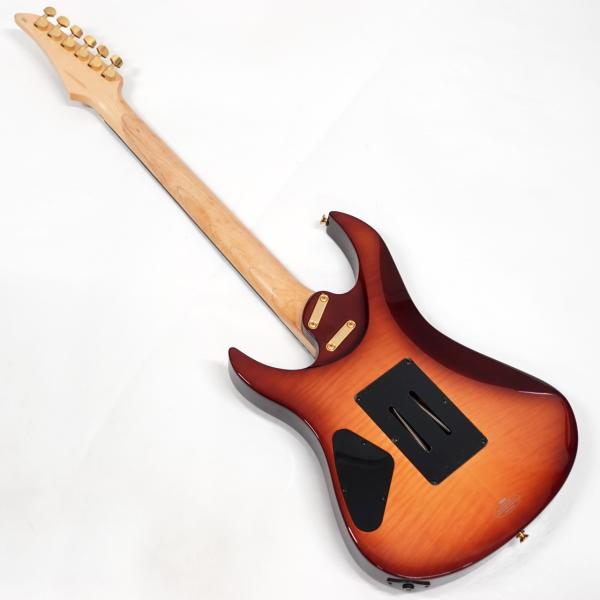 YAMAHA RGX-821D 上位モデル スキャロップ タケウチ製フロイド YAMAHA RGX-821D 上位モデル スキャロップ タケウチ製フロイド