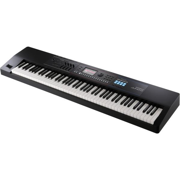 Roland ローランド JUNO-D8 ストリートライブ セット ケース