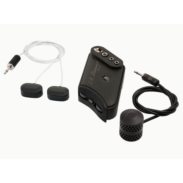 L.R.Baggs HiFi Duet