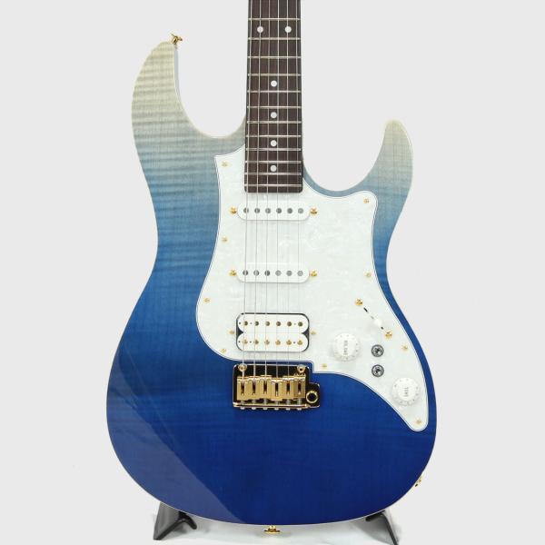 FgN フジゲン EOS2-FM-R / Navy Blue Gradation 20%OFF! | ワタナベ