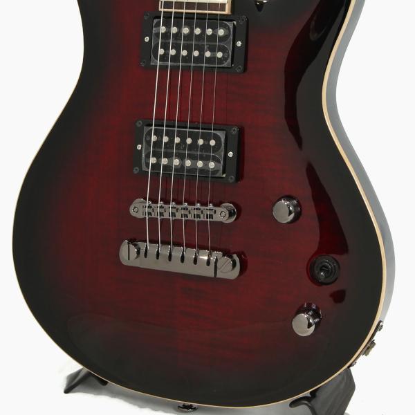 FgN フジゲン EEL(Expert ELAN)-FM / BCS(Black Cherry Sunburst