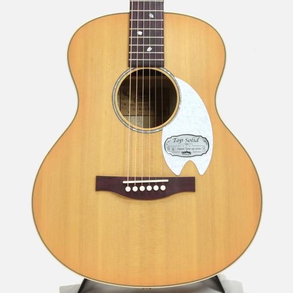 Headway ヘッドウェイ HTJ-SAKURA SKPN 特価品 桜 アコースティックギター Sakura Pink