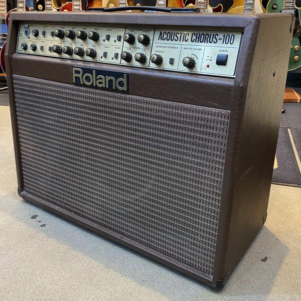 Roland ローランド AC-100 Acoustic Chorus