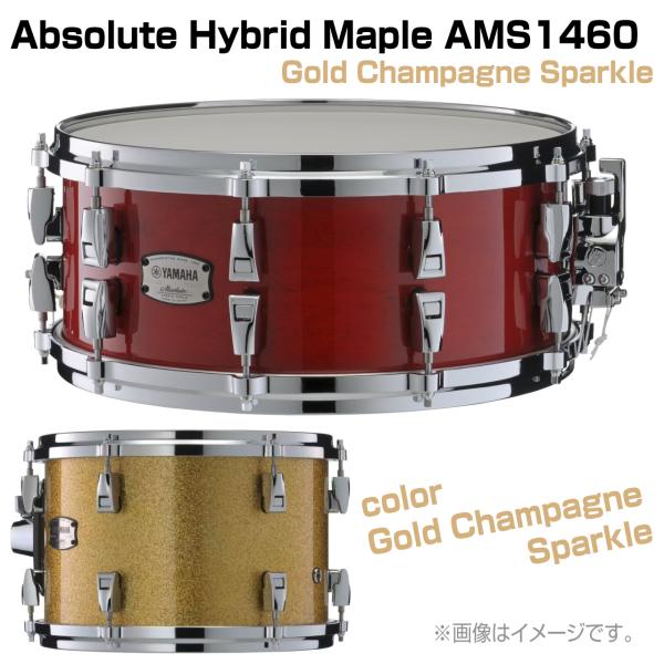 YAMAHA ヤマハ AMS1460 Gold Champagne Sparkle Absolute Hybrid Maple ドラム スネア 木胴 メイプル アブソリュート