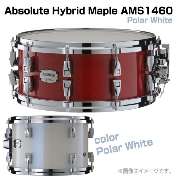 YAMAHA ヤマハ AMS1460 Polar White Absolute Hybrid Maple ドラム スネア 木胴 メイプル アブソリュート