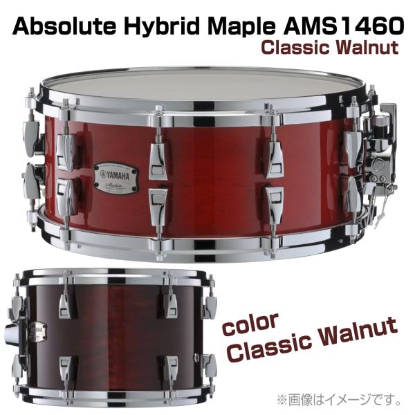 YAMAHA ヤマハ AMS1460 Classic Walnut Absolute Hybrid Maple ドラム スネア 木胴 メイプル アブソリュート