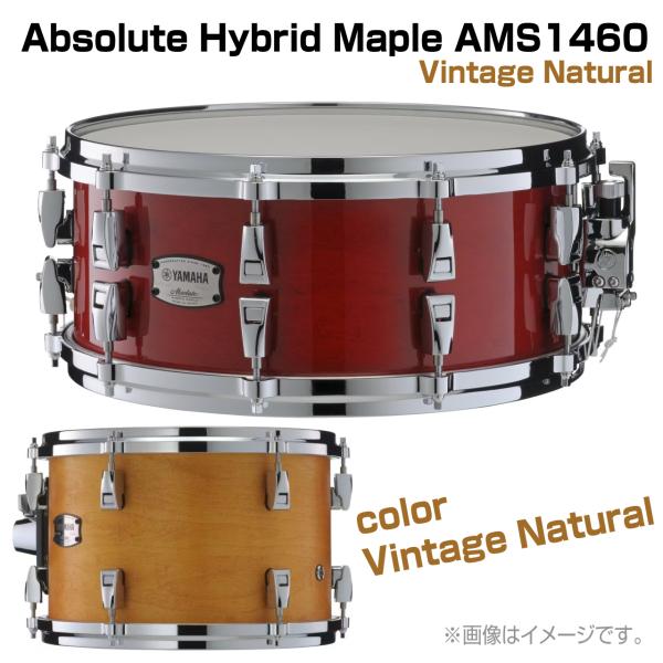 YAMAHA ヤマハ AMS1460 Vintage Natural Absolute Hybrid Maple ドラム スネア 木胴 メイプル アブソリュート